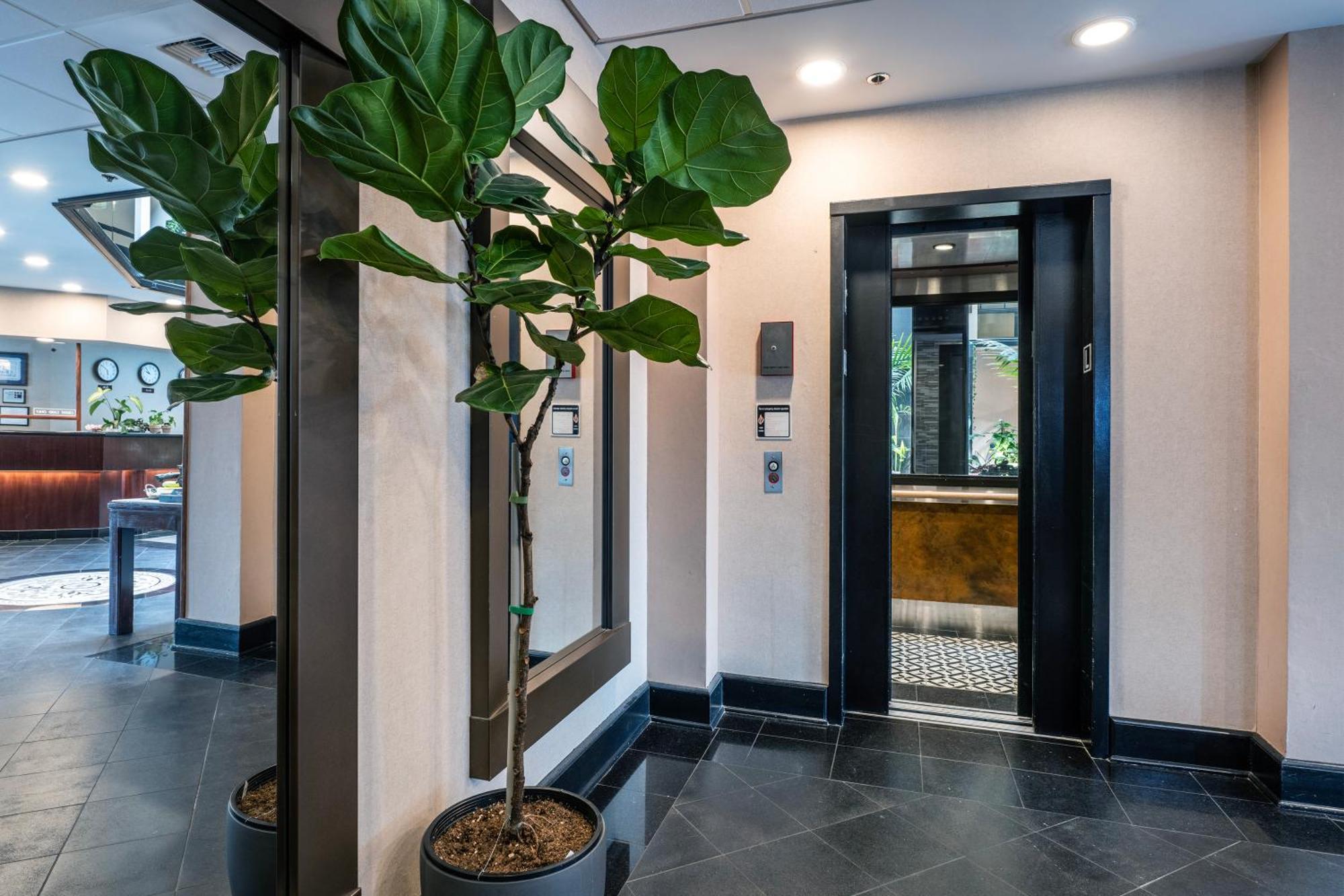 Hotel International Lynnwood Extérieur photo